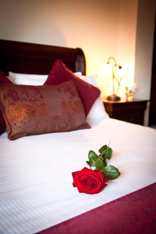 Aherlow House Hotel & Lodges Rum bild
