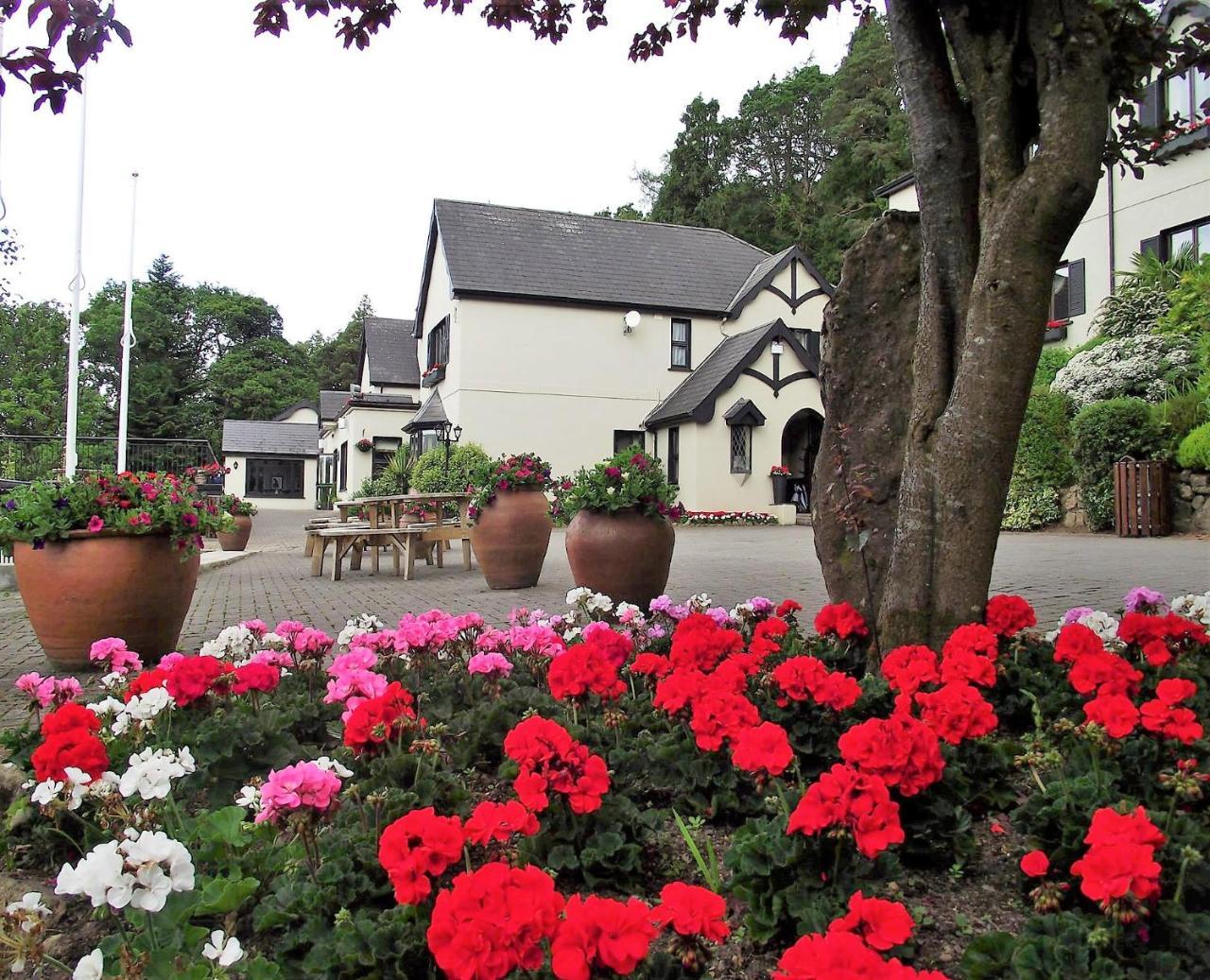Aherlow House Hotel & Lodges Exteriör bild