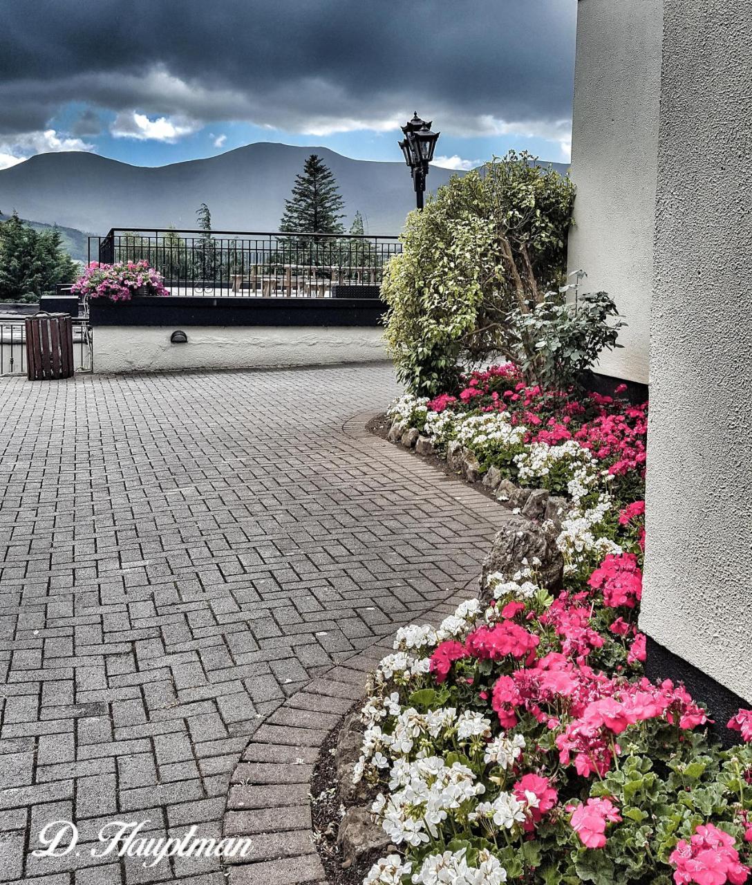Aherlow House Hotel & Lodges Exteriör bild